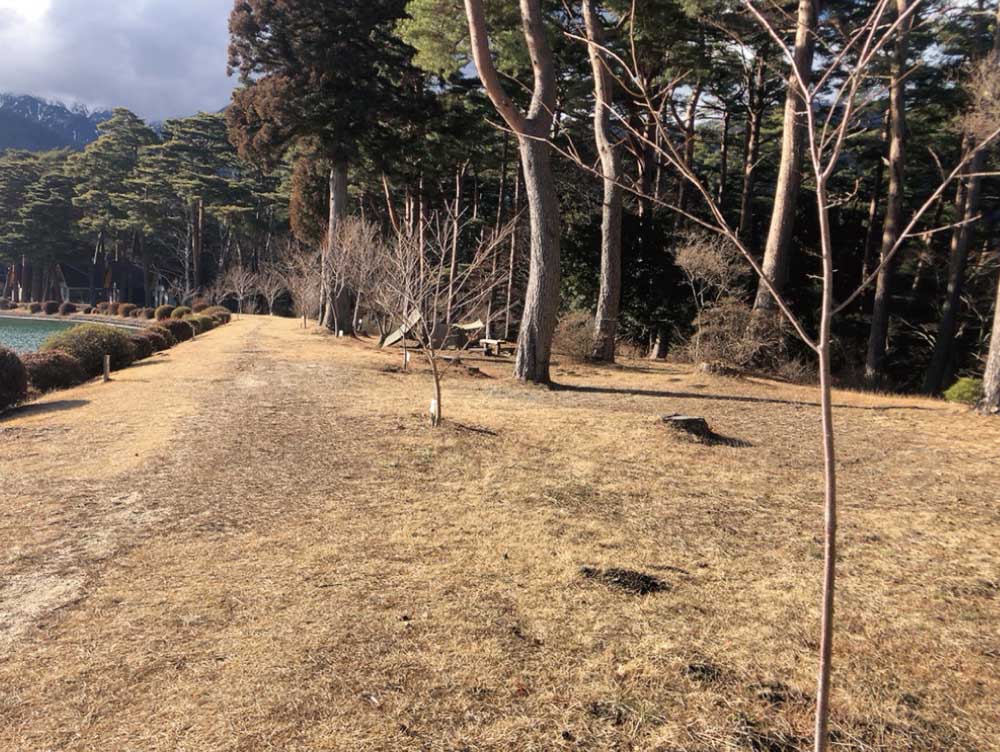 千人塚公園キャンプ場-フォレストサイト