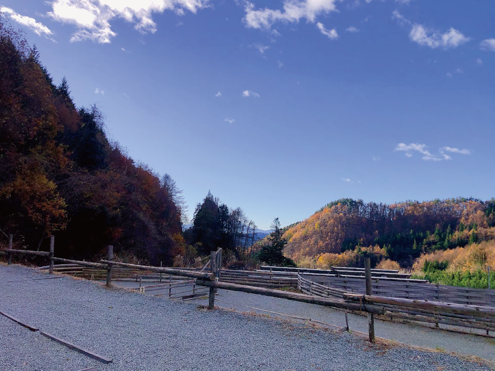 富士山が見えるサイトは一部