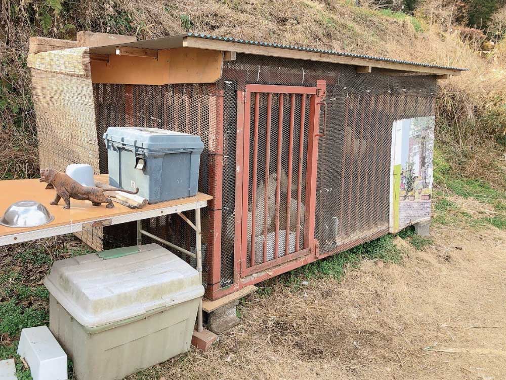 烏骨鶏の小屋