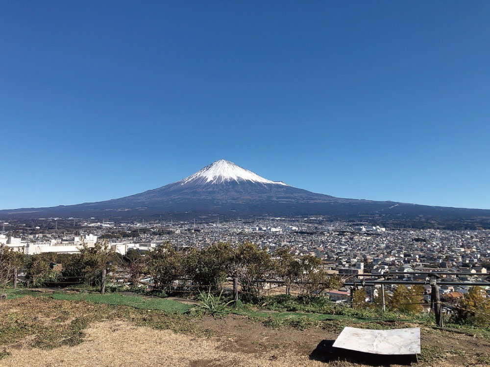 雄大な富士山