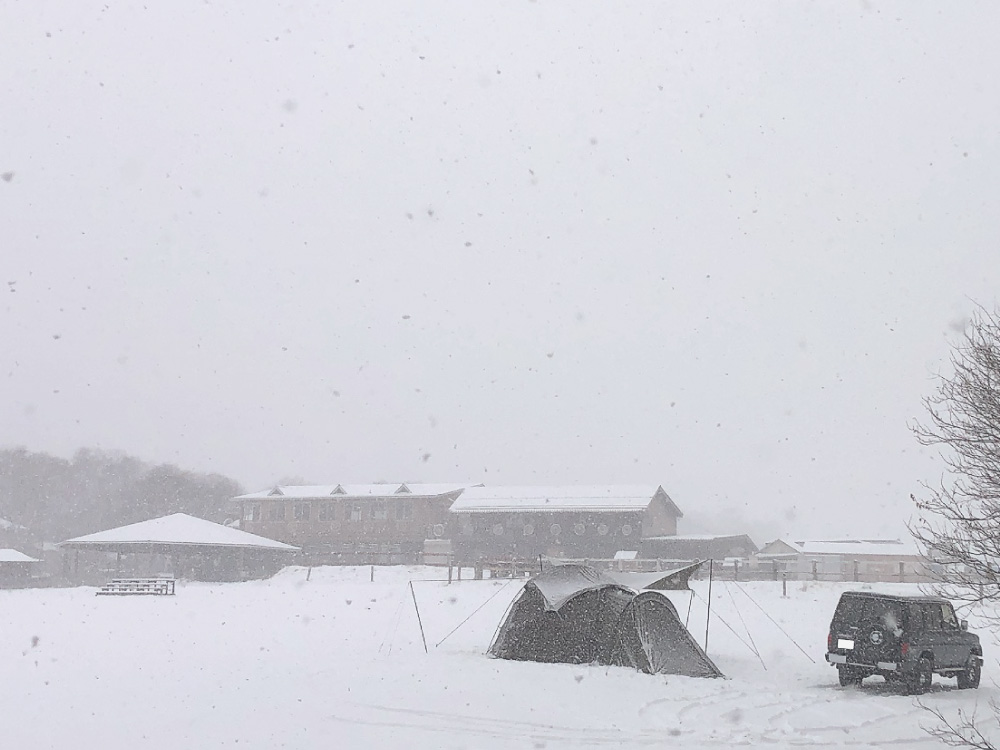 雪中