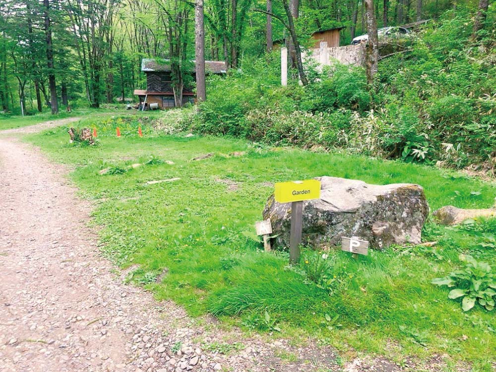 garden