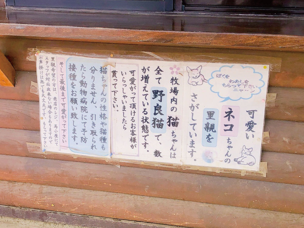 ネコ譲渡案内板