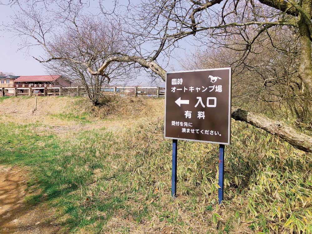 オートサイト