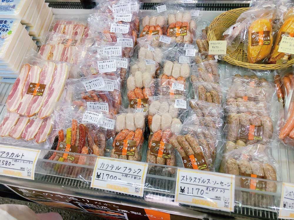 南きよさと鯉とカモの池