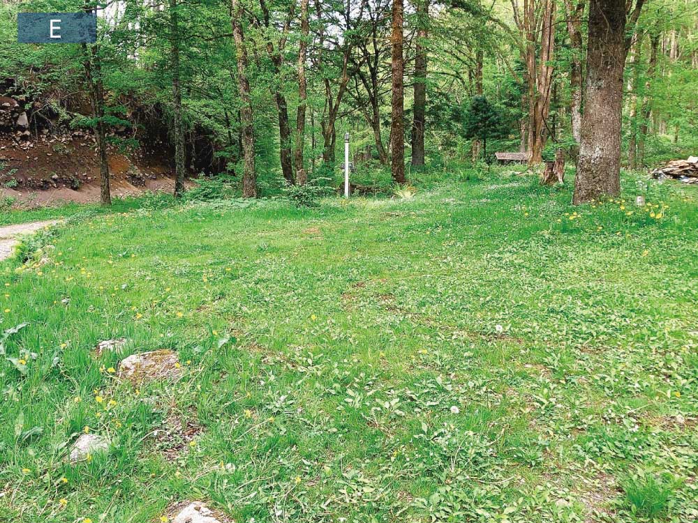 garden-E