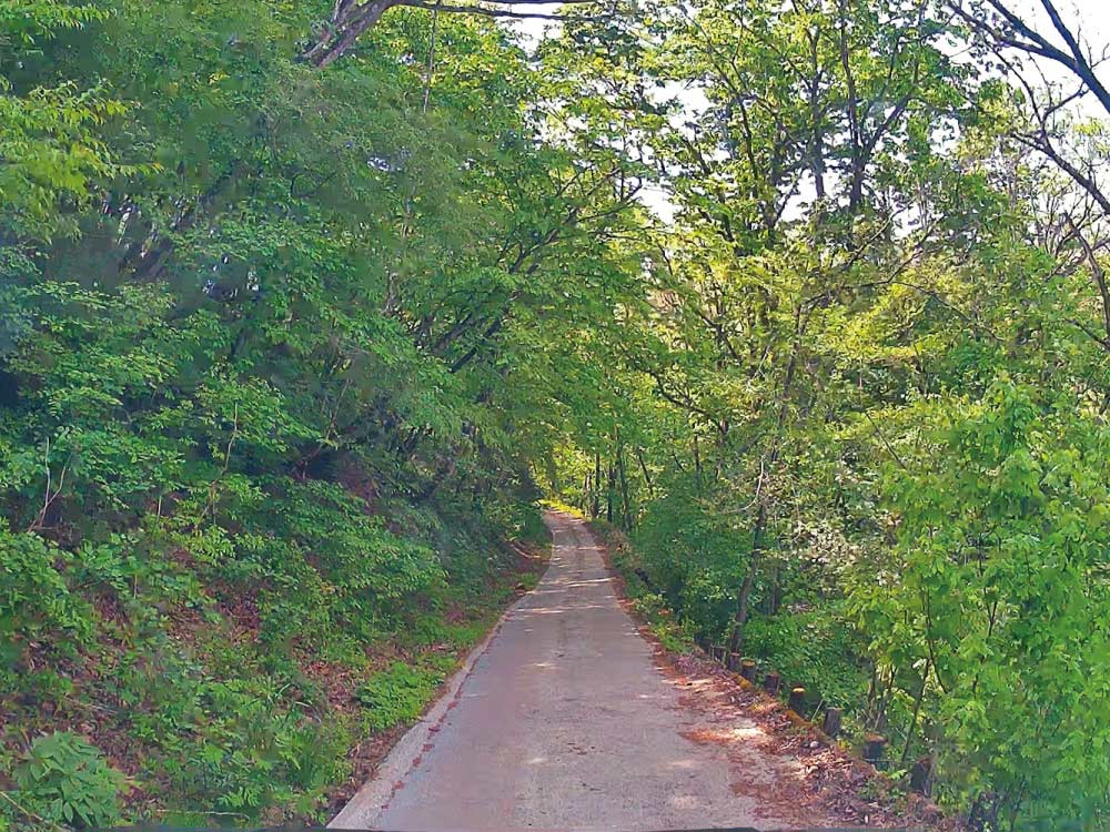 祈りながら進む山道