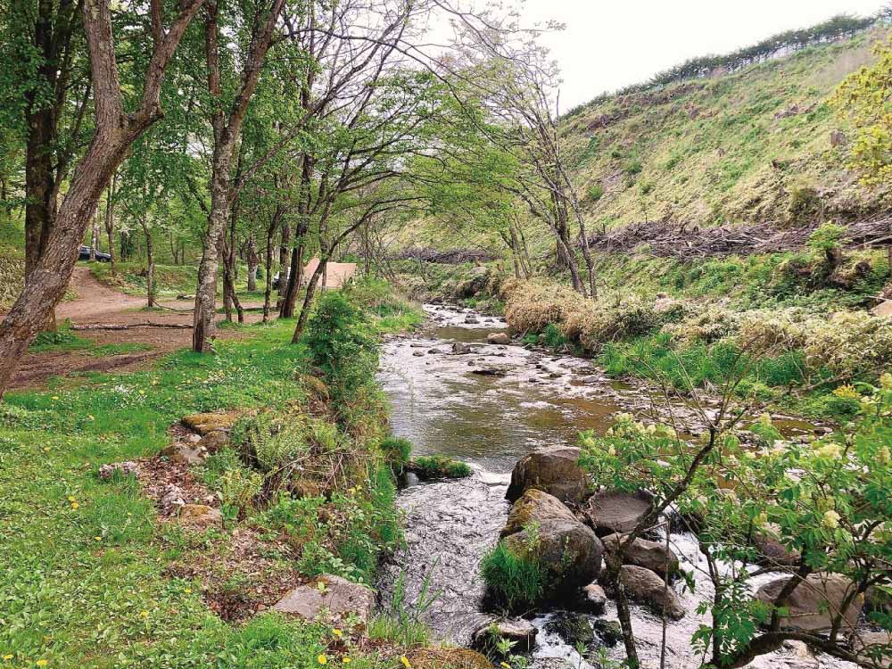 RiverB(区画分けされたサイト)