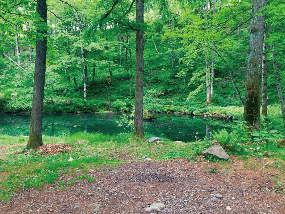 DuckPond