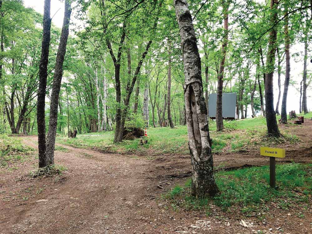 ForestB
