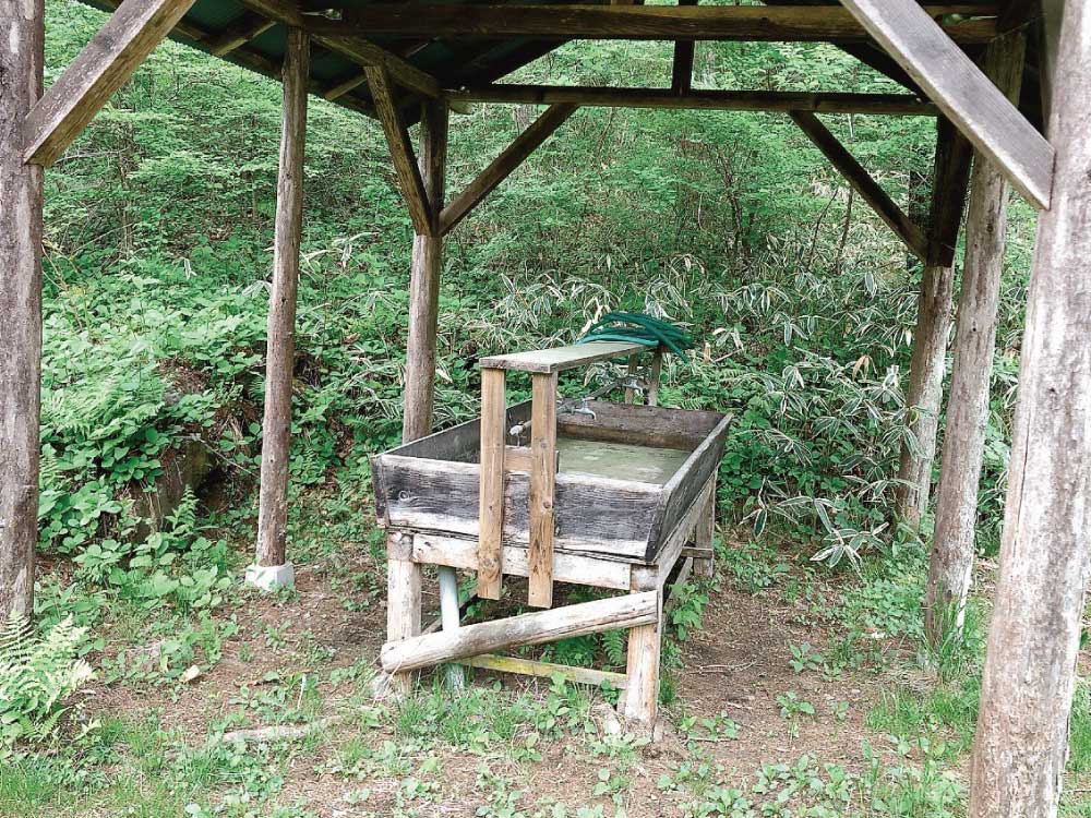 ForestC内