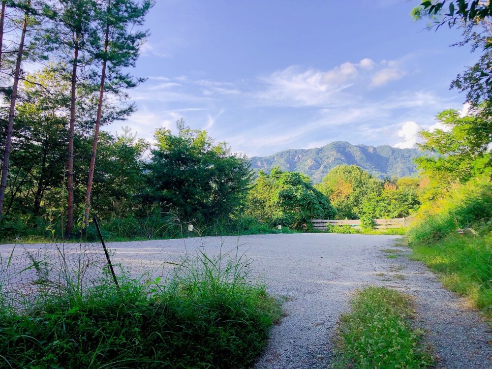 1番～6番サイト