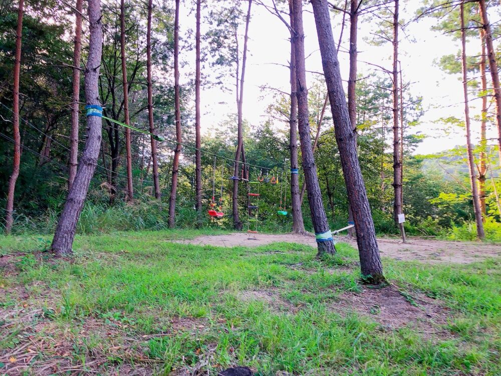 アスレチック広場