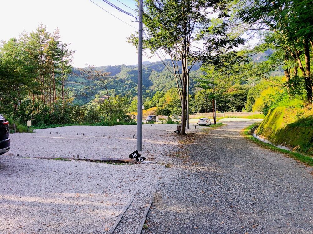 サイト指定はできない