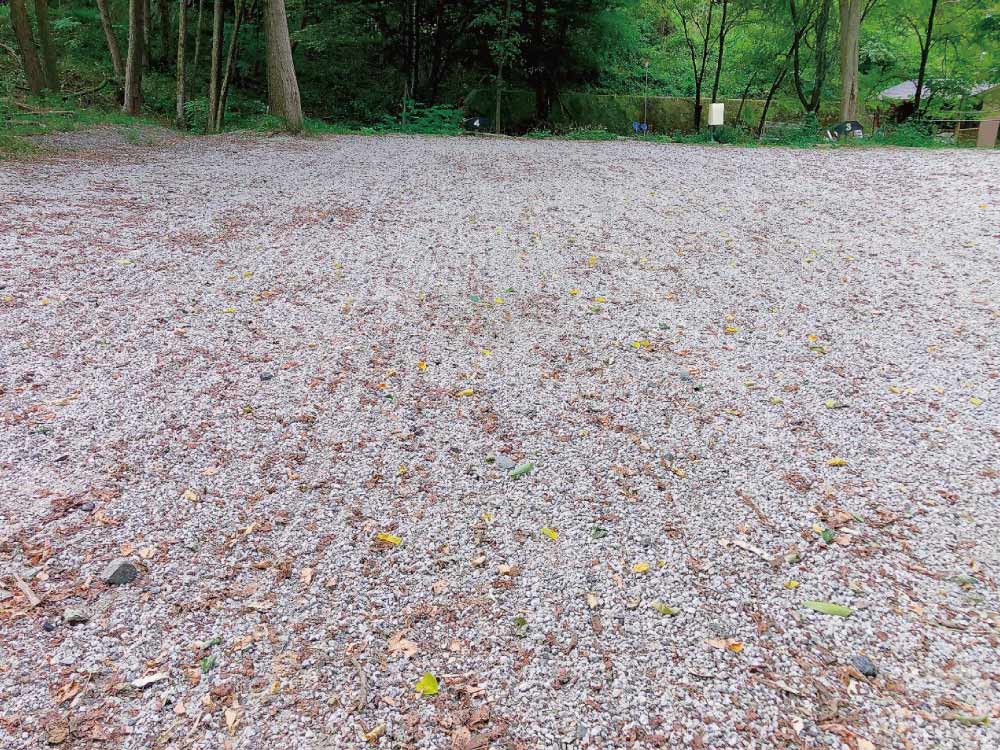 水はけ抜群のサイト